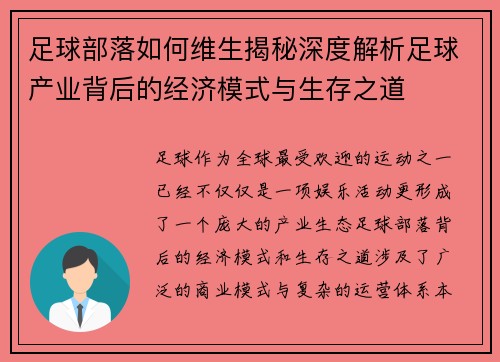 足球部落如何维生揭秘深度解析足球产业背后的经济模式与生存之道